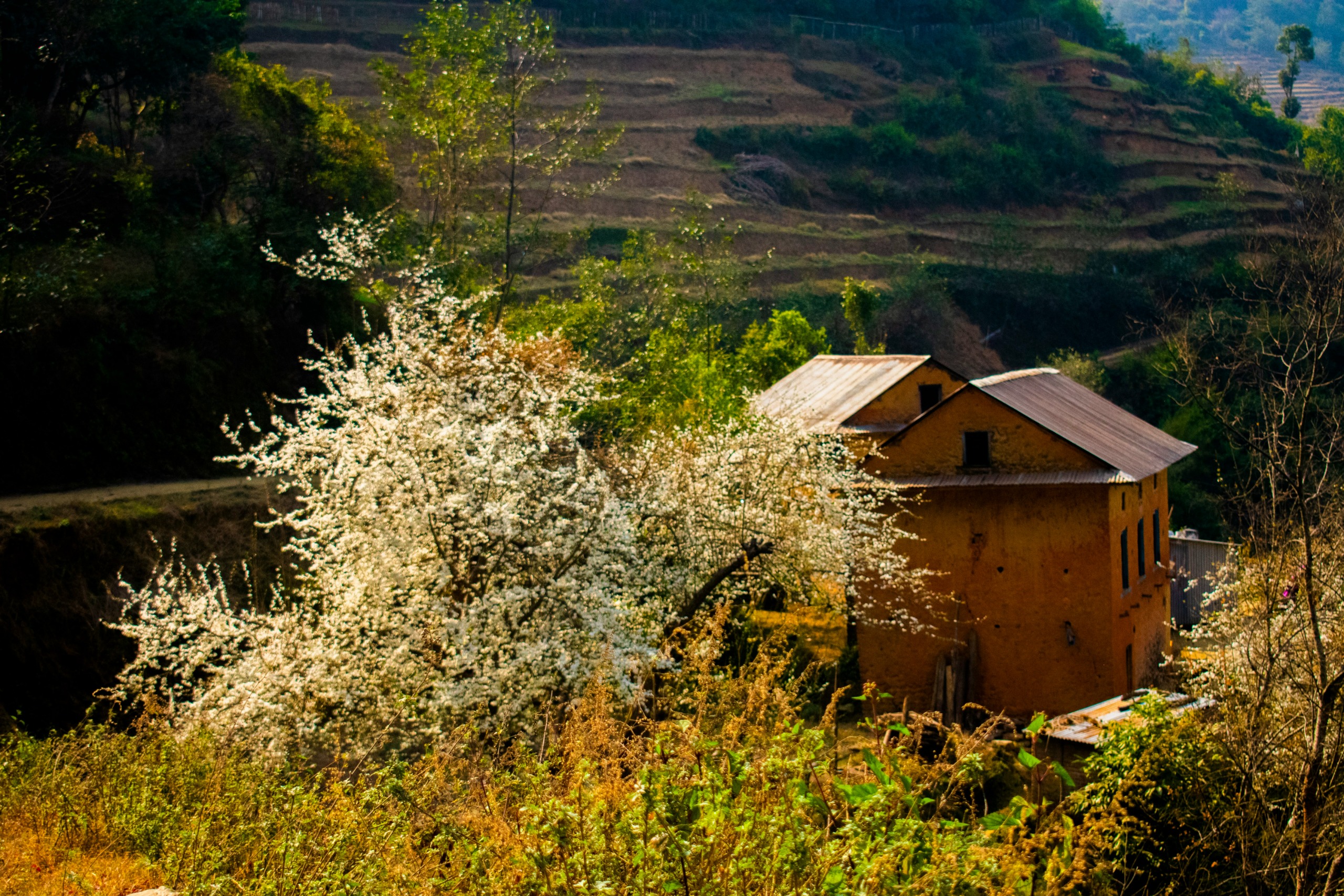 5 Wellness Experiences You Can Only Have in Nepal