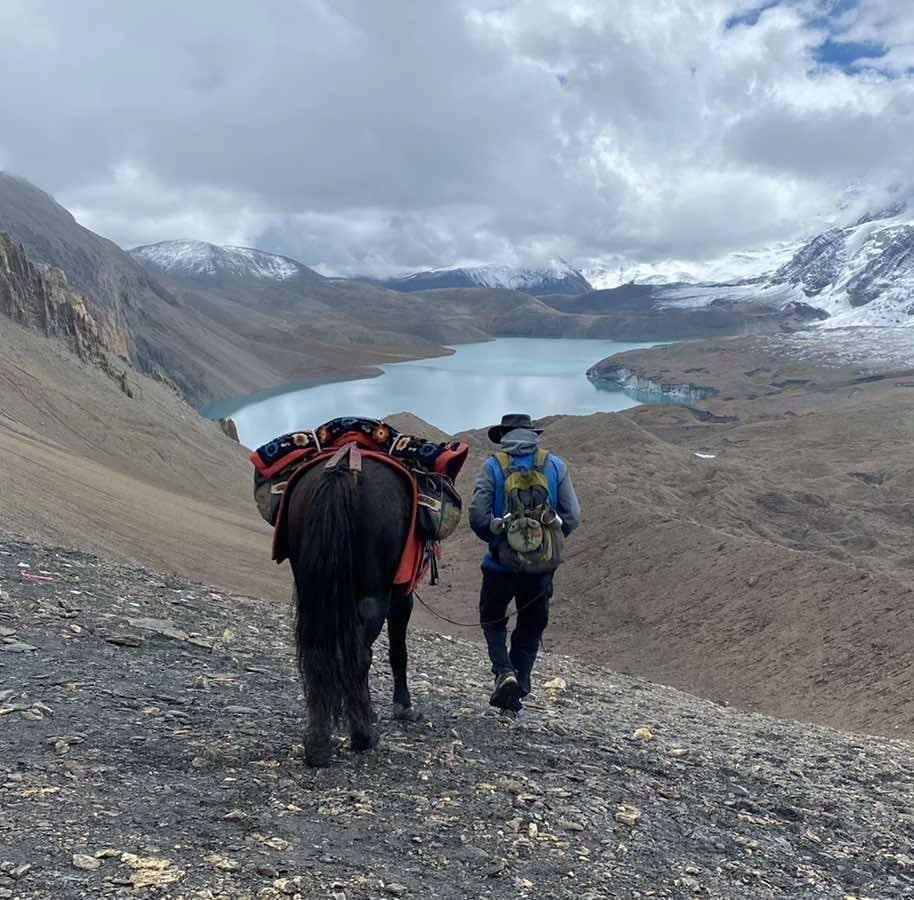 Geet Travel - The Horses of Mustang and Their Role in Tourism