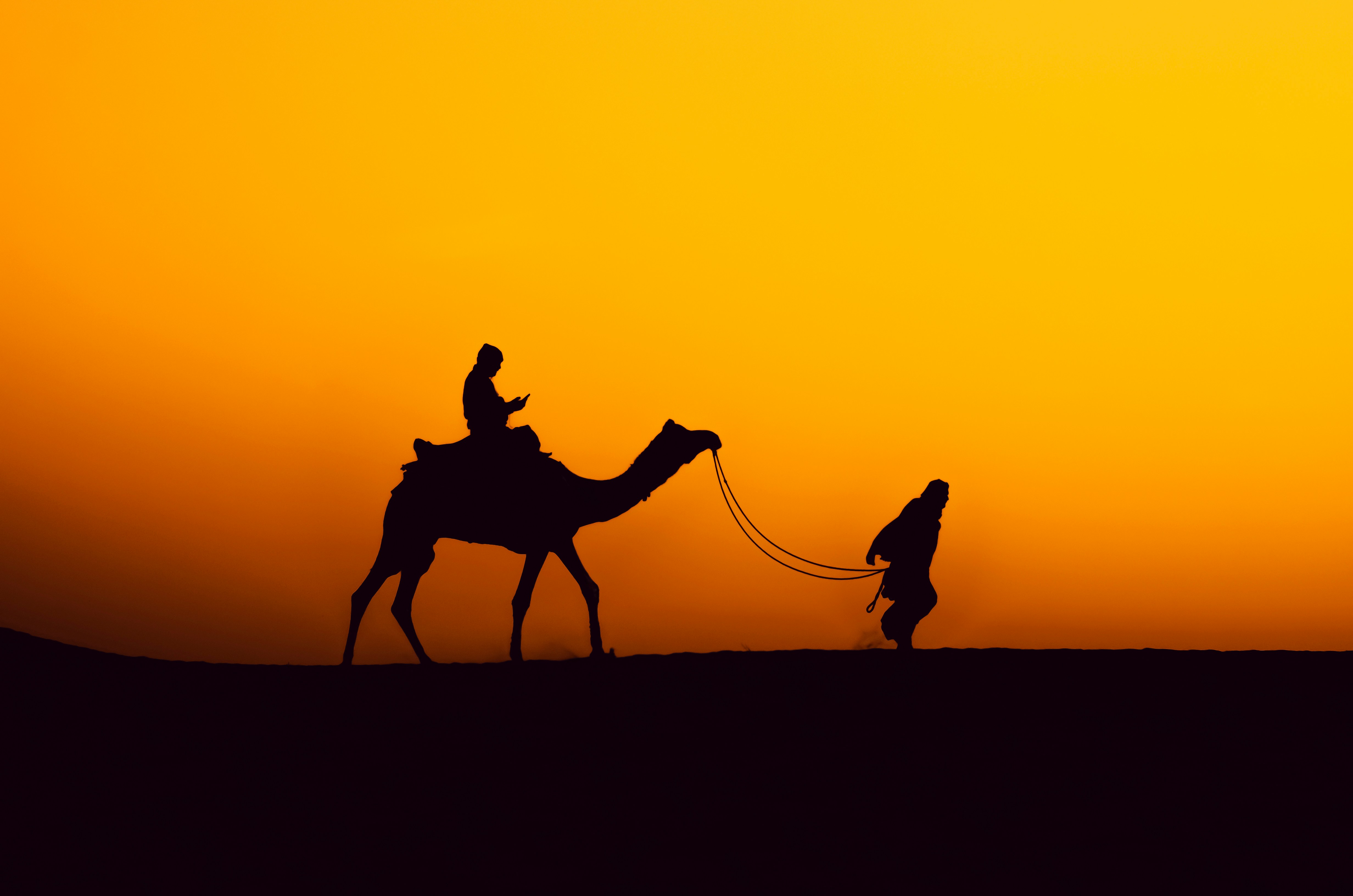 Rajasthan Beyond Jaipur — Life in the Desert